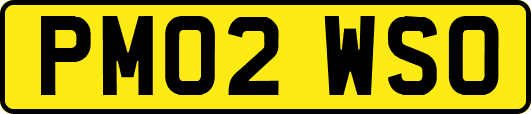 PM02WSO