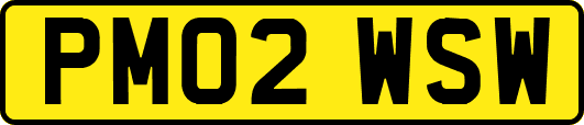 PM02WSW