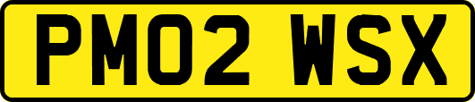 PM02WSX