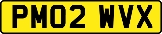 PM02WVX