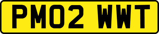 PM02WWT