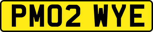 PM02WYE