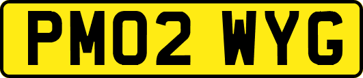 PM02WYG