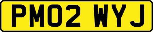 PM02WYJ