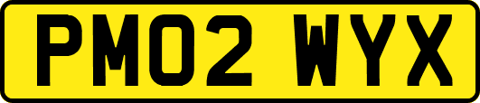 PM02WYX