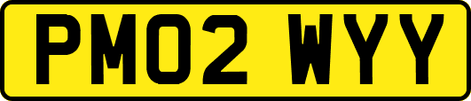PM02WYY