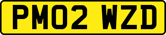 PM02WZD