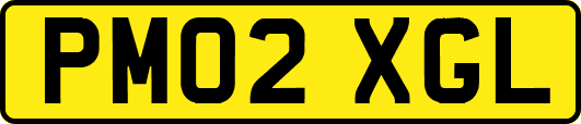 PM02XGL