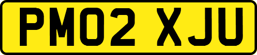 PM02XJU