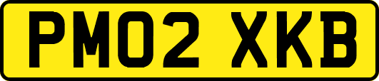 PM02XKB