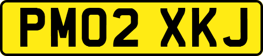 PM02XKJ