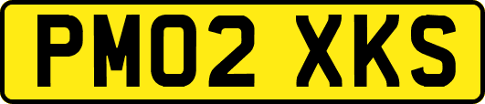 PM02XKS