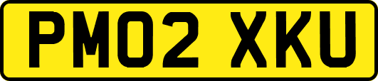 PM02XKU