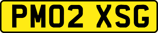 PM02XSG