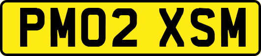 PM02XSM