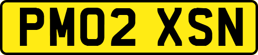 PM02XSN