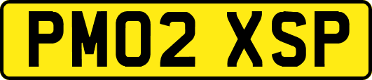 PM02XSP