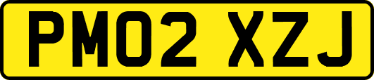 PM02XZJ