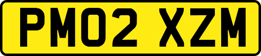 PM02XZM