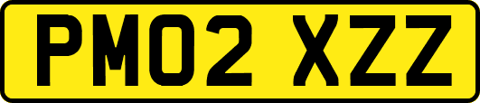 PM02XZZ