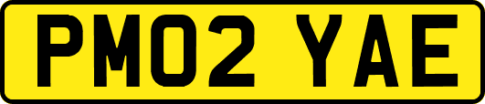 PM02YAE