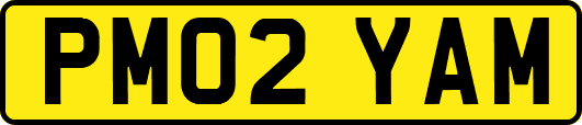 PM02YAM