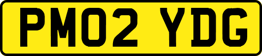 PM02YDG