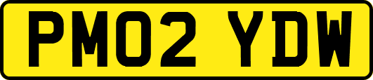 PM02YDW