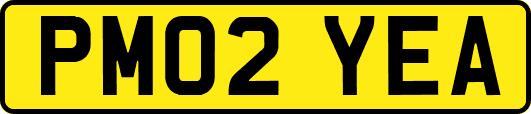 PM02YEA