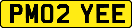 PM02YEE