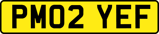 PM02YEF