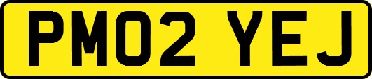 PM02YEJ