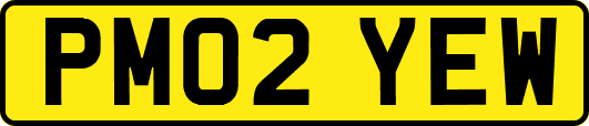 PM02YEW