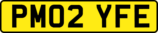PM02YFE