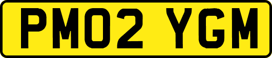 PM02YGM