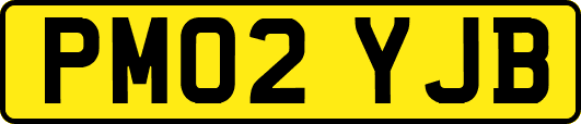 PM02YJB