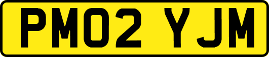 PM02YJM