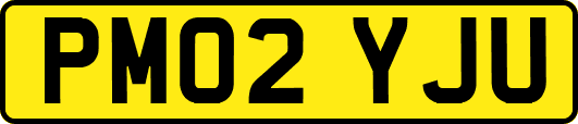 PM02YJU