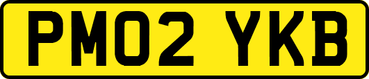 PM02YKB
