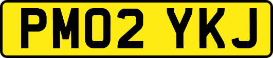PM02YKJ