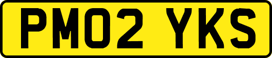 PM02YKS