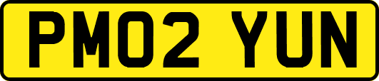 PM02YUN
