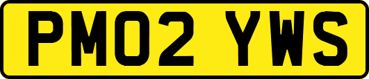 PM02YWS