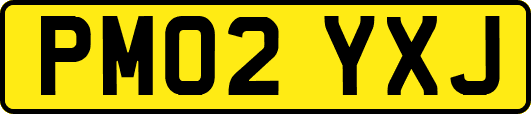 PM02YXJ