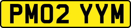 PM02YYM