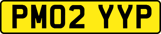 PM02YYP