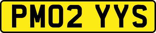 PM02YYS