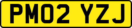 PM02YZJ