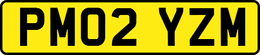PM02YZM