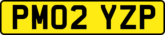 PM02YZP